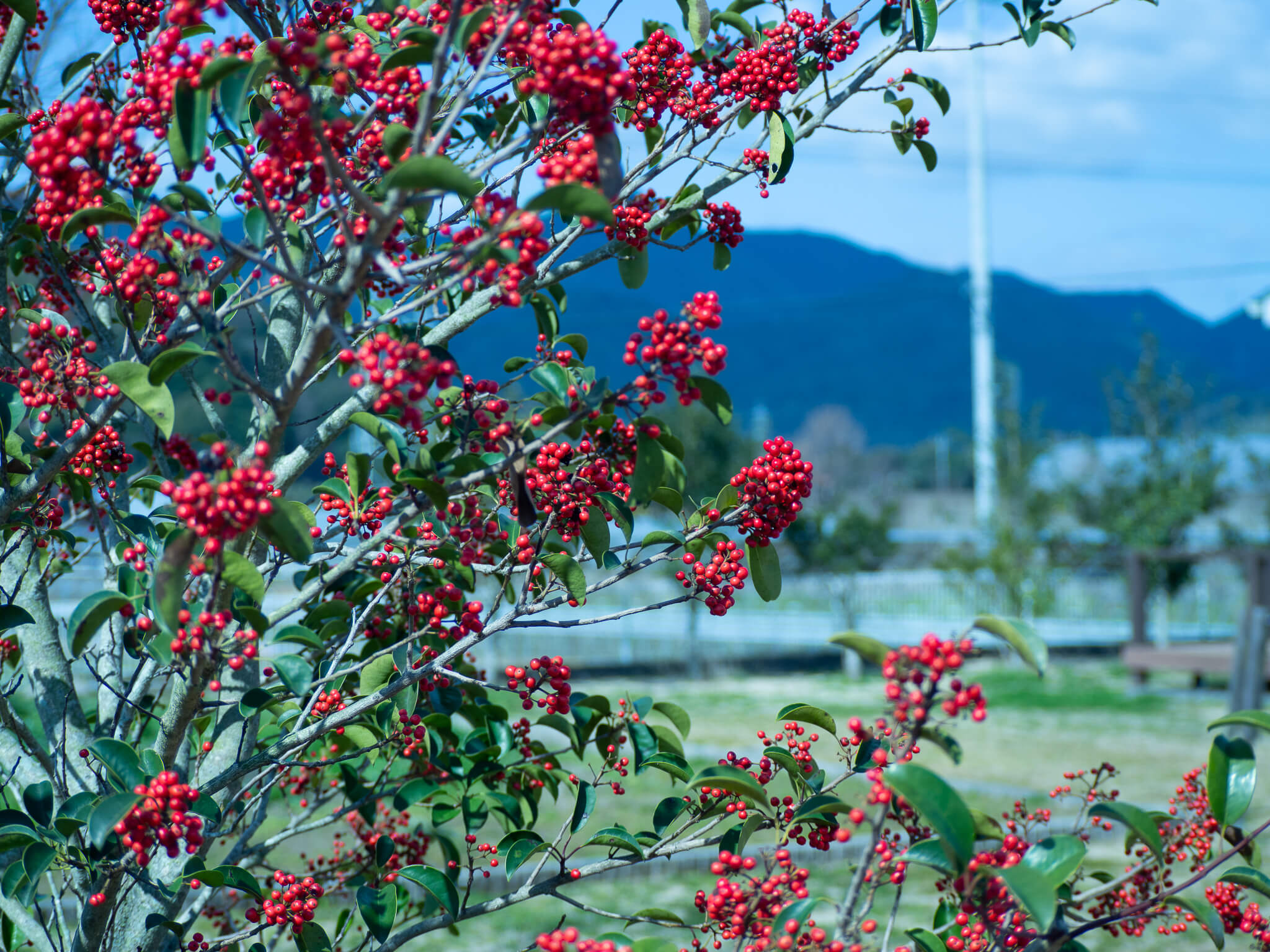 デイサービスおかげさん・うたたねの日常・風景