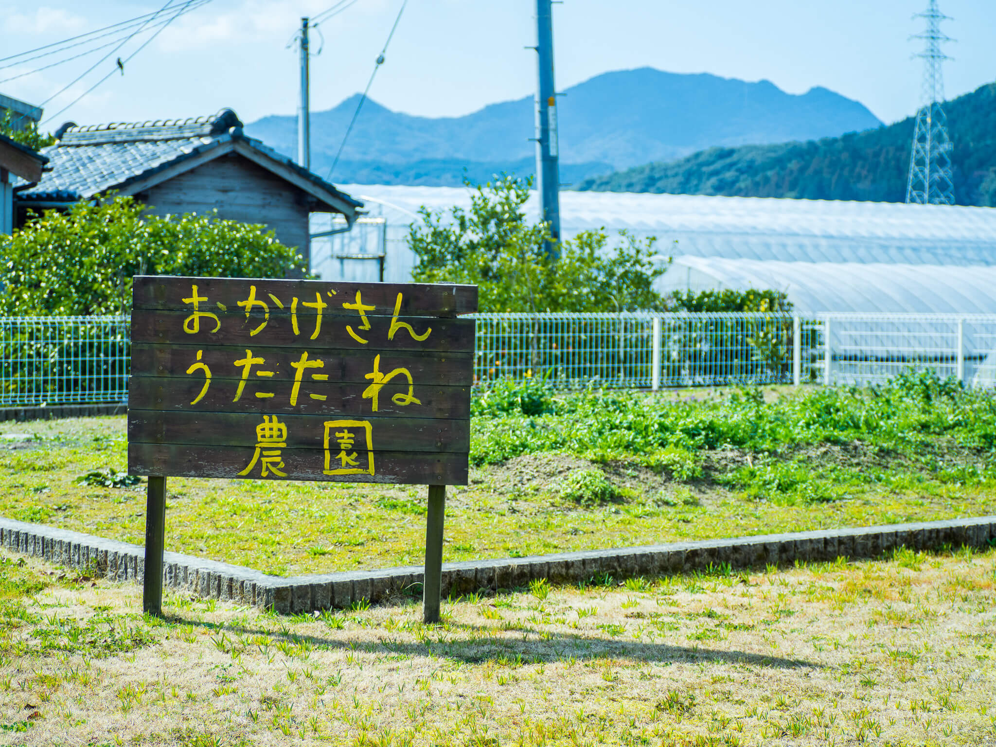 デイサービスおかげさん・うたたねの日常・風景
